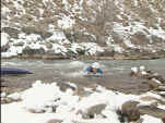 cold swim