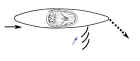 kayak draw