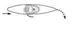 kayak draw