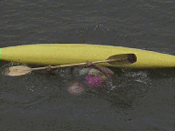 kayak sweep roll