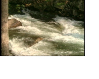 about hydraulic in river