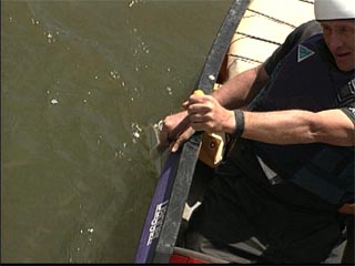 Strokework for a canoe