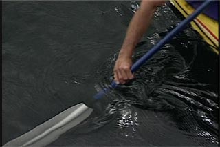 strokework for the coastal kayaker